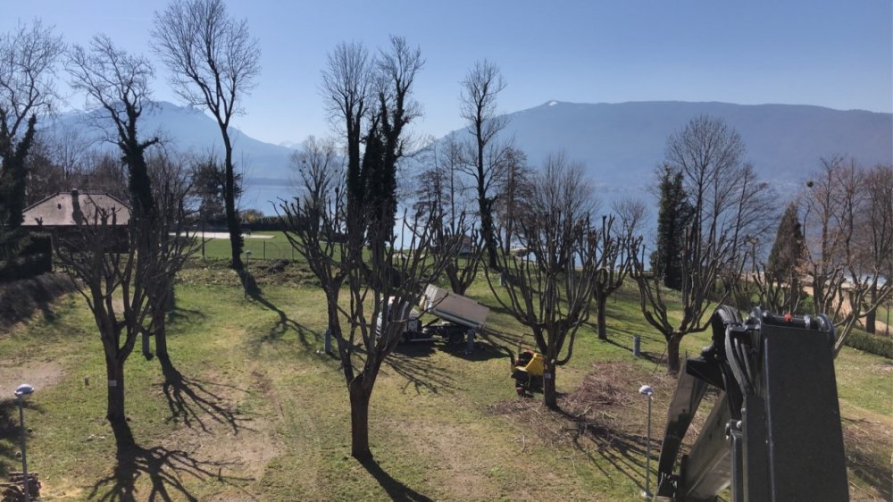Élagage et taille d'arbres paysagiste à Menthon-Saint-Bernard - Eco Services