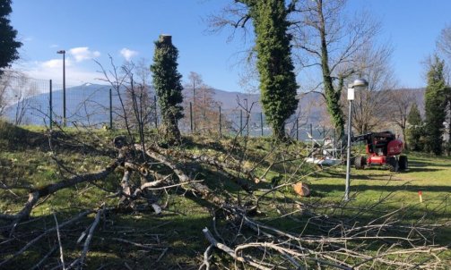 Evacuation de bois à Annecy 