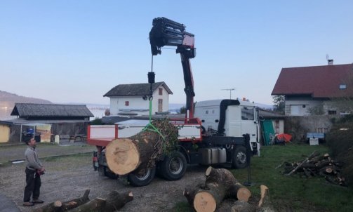 Enlèvement de bois à Annecy 